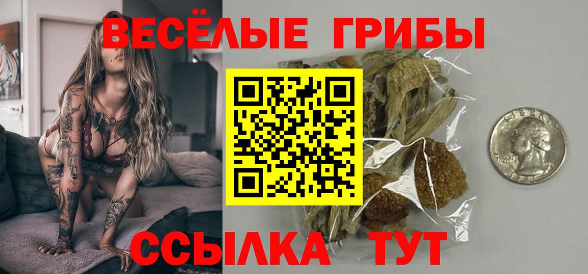 Котлас  Псилоцибиновые грибы GOLDEN TEACHER  Псилоцибиновые грибы Magic Shrooms  Вход с VPN 