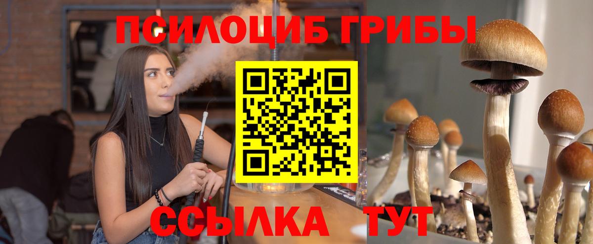 Галлюциногенные грибы прущие грибы Котлас